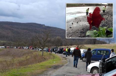 Drumul Oradea-Beiuş-Bruxelles: CNADNR a alocat pentru repararea DN 76 Oradea-Beiuş suma de 0 lei!